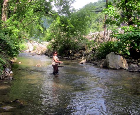fishing creeks near me.